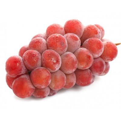 ふるさと納税 城里町 クインニーナ5kg 県内共通返礼品:かすみがうら市産