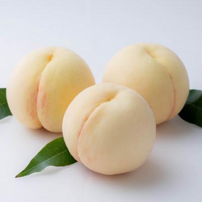 ふるさと納税 浅口市 [2026年発送]岡山県産 白桃 (早生種)約900g(3〜4玉)