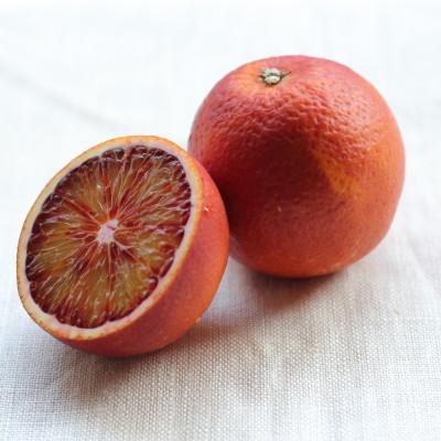 ふるさと納税 松山市 ブラッドオレンジ 2kg