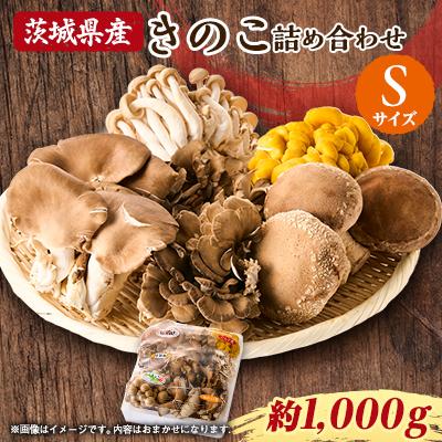 ふるさと納税 茨城県 茨城県城里町産 きのこの詰め合わせ Sサイズ 約1kg