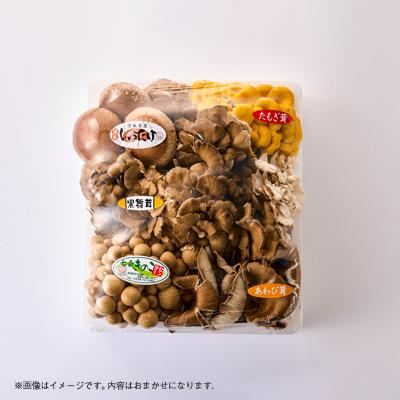 ふるさと納税 茨城県 茨城県城里町産 きのこの詰め合わせ Sサイズ 約1kg |  | 01
