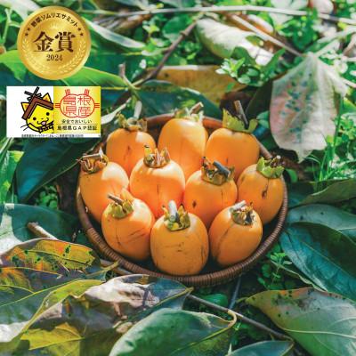 ふるさと納税 松江市 [優品]とろ〜り甘さの極み!柿の里の西条柿 2kg(8玉〜12玉)島根県松江市[マルカミ農縁(株)]