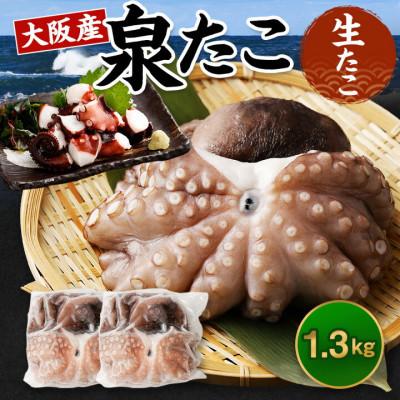 ふるさと納税 阪南市 期間限定[5月23日より順次発送]大阪産「泉タコ(生たこ)」1.3kg(650g×2袋)