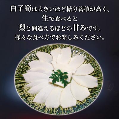 食品 北村 和人様専用 白子筍6キロ