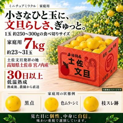 ふるさと納税 土佐市 日本ギフト大賞受賞・先行予約 希少 ミニチュアミラクル土佐文旦 7kg 高知県土佐市産 やの一果彩 |  | 02