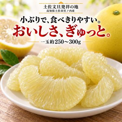 ふるさと納税 土佐市 日本ギフト大賞受賞・先行予約 希少 ミニチュアミラクル土佐文旦 3kg 高知県土佐市産 やの一果彩 |  | 01