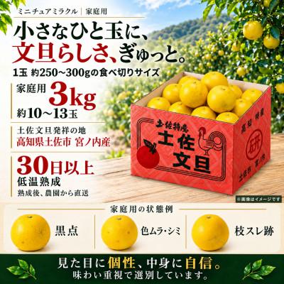 ふるさと納税 土佐市 日本ギフト大賞受賞・先行予約 希少 ミニチュアミラクル土佐文旦 3kg 高知県土佐市産 やの一果彩 |  | 02