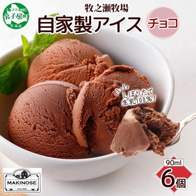 ふるさと納税 弟子屈町 牧之瀬牧場 自家製アイス チョコ 90ml×6個 3220