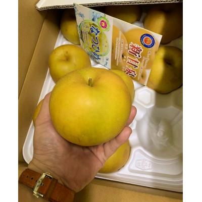 ふるさと納税 日南町 新甘泉_2