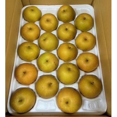 ふるさと納税 日南町 新甘泉_3