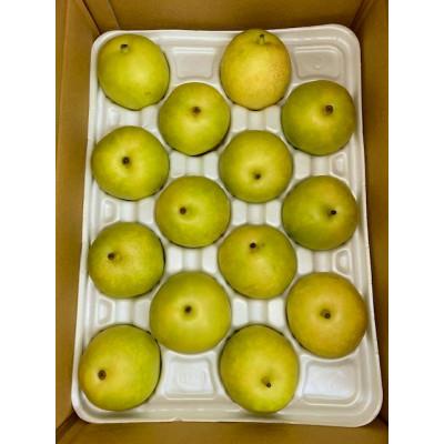 ふるさと納税 日南町 20世紀梨 約5kg