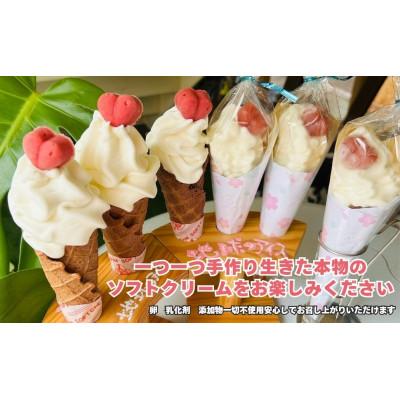 ふるさと納税 北広島市 地球のグラスフェッドソフトクリーム 6個