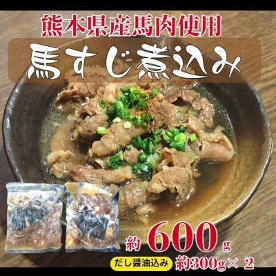 ふるさと納税 山鹿市 熊本県産馬すじだし醤油煮込み 600g