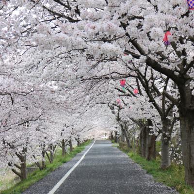 ふるさと納税 井原市 [返礼品なし]井原市の環境・防災・防犯・都市基盤に関する事業を応援!