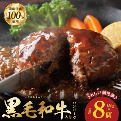 ふるさと納税 泉佐野市 国産牛肉100% ハンバーグ 150g×8個 099H3401