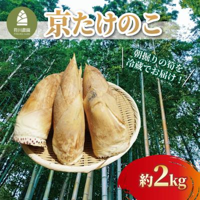 ふるさと納税 八幡市 京たけのこ(白子たけのこ) 約2kg 冷蔵 京都府八幡市産
