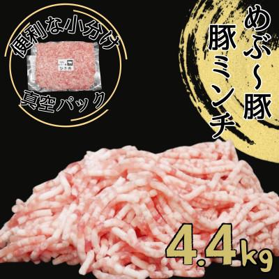 ふるさと納税 小林市 宮崎県産めぶ〜豚 豚ミンチ 4.4kg (真空パック200g×22袋)