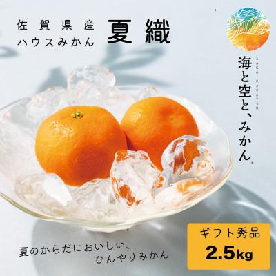 ふるさと納税 唐津市 [先行予約|2027年夏]唐津ハウスみかん夏織(なつおり) 2.5kg 海と空と、みかん 温室みかん