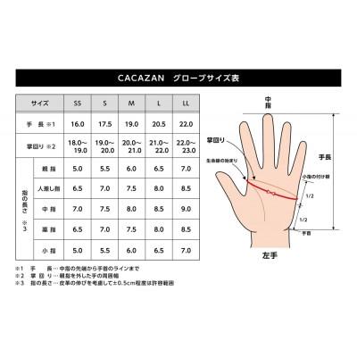 ふるさと納税 さぬき市 CACAZANペッカリーレザードライビンググローブ【カラー:コルク×ライトブラウン/サイズ:M】 |  | 03
