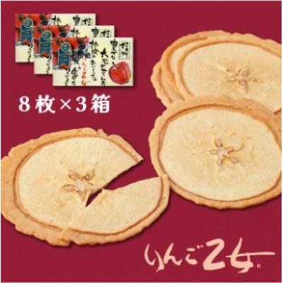 ふるさと納税 豊丘村 [豊丘村]りんご乙女 8枚×3箱