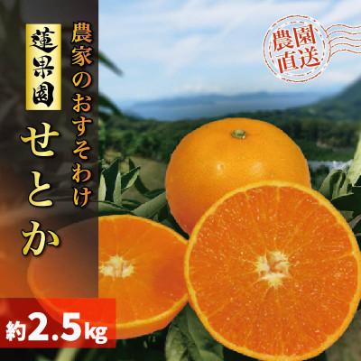 ふるさと納税 松山市 [先行予約]せとか 2月下旬より発送 家庭用2.5kgサイズ混合 愛媛農家直送 訳あり