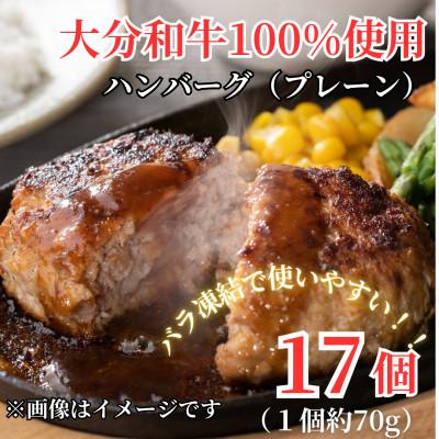 ふるさと納税 津久見市 [おおいた和牛100%使用]ちょっと贅沢おうちごはん!ハンバーグ プレーン 17個 (津久見市)