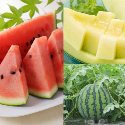 ふるさと納税 北栄町 [品種はおまかせ]スイカ1玉とメロン1玉セット(※こちらの返礼品は、大栄西瓜ではありません)