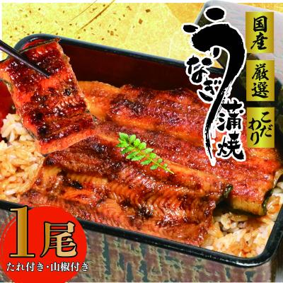 ふるさと納税 牧之原市 国産 鰻蒲焼1尾(たれ・山椒付き)