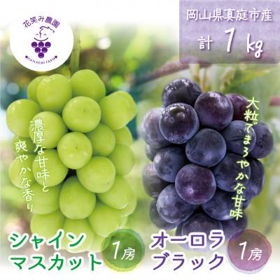 ふるさと納税 真庭市 [2026年先行受付]岡山 花笑み農園の『オーロラブラック&amp;シャインマスカット』1kg(2房)AS