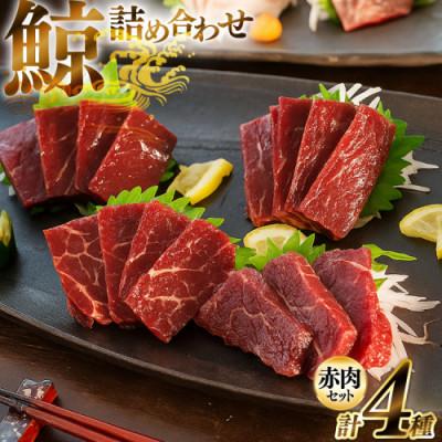 ふるさと納税 島原市 くじら赤肉4種詰め合わせ(小切れ・胸肉・背肉・特選)(島原市)