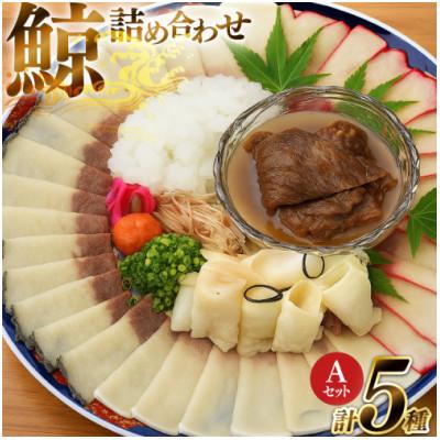 ふるさと納税 島原市 美味しい鯨5種詰め合わせAセット(島原市)