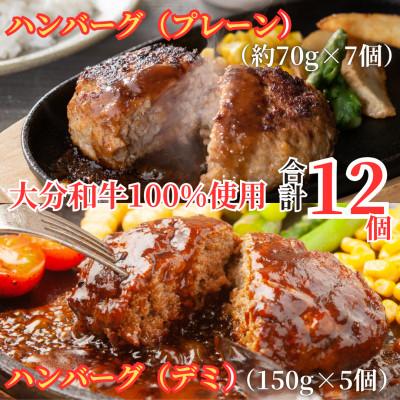 ふるさと納税 津久見市 [おおいた和牛100%使用]おおいた和牛 ハンバーグ 2種 デミ・プレーン 12個(津久見市)