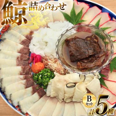 ふるさと納税 島原市 美味しい鯨5種詰め合わせBセット(5種)(島原市)