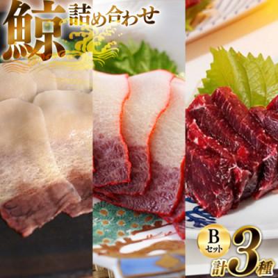 ふるさと納税 島原市 美味しい鯨3種詰め合わせBセット(背肉、ベーコンスライス約40g、すえひろスライス約40g)島原市