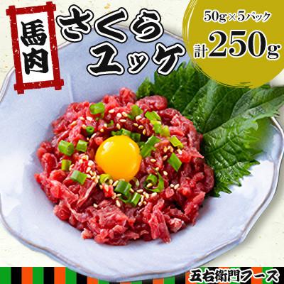 ふるさと納税 人吉市 馬肉 さくらユッケ 250g(50g×5パック )(人吉市)