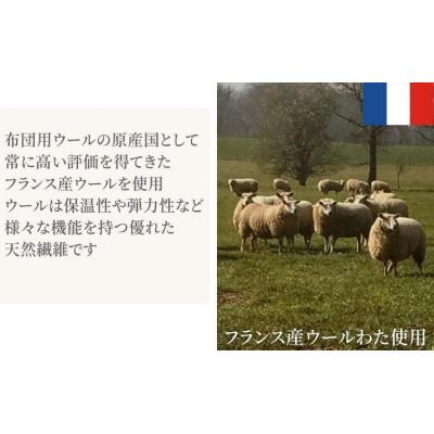 ふるさと納税 和歌山市 シングル用ウォッシャブルウールわたベッドパッド100×200cm 1枚_2