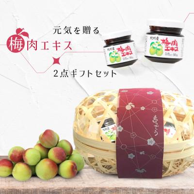 ふるさと納税 上富田町 紀州産梅肉エキス 50g 2個ギフトセット