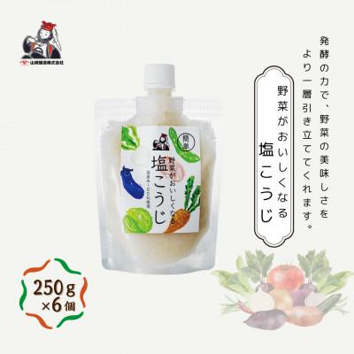 ふるさと納税 小千谷市 山崎醸造 野菜がおいしくなる塩こうじ (250g×6個入) 塩麹 万能調味料 新潟県 小千谷市