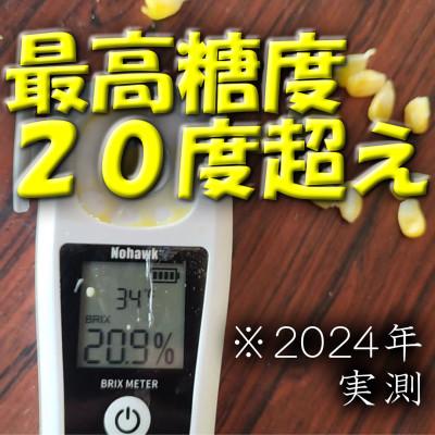 ふるさと納税 昭和村 朝採とうもろこし2027年7月上旬より順次発送【8本】 |  | 02