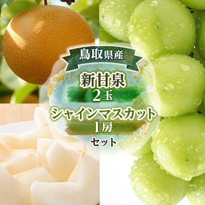 ふるさと納税 北栄町 新甘泉2玉とシャインマスカット1房