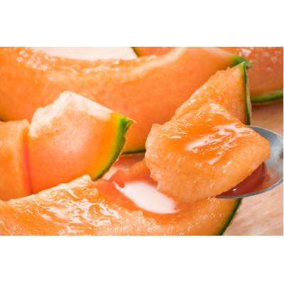 ふるさと納税 北栄町 赤肉メロン「マルセイユ」