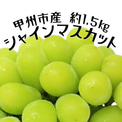 ふるさと納税 甲州市 甲州市産厳選旬のシャインマスカット 約1.5kg(2房〜3房)