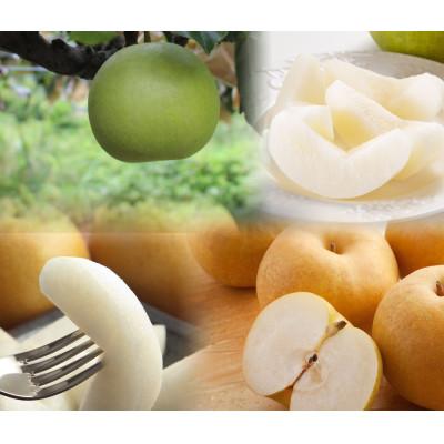 ふるさと納税 若桜町 [品種はおまかせ]農家さん応援! 訳あり鳥取県産旬の梨3kg