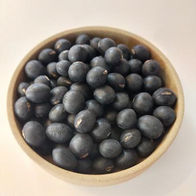 ふるさと納税 十和田市 青森県産 黒豆(丹波黒大粒大豆)手選別 1kg