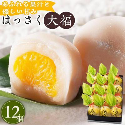 ふるさと納税 福山市 はっさく大福12個入