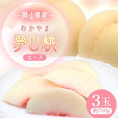 ふるさと納税 早島町 2026年先行予約 岡山県産 おかやま夢白桃 3玉 エース