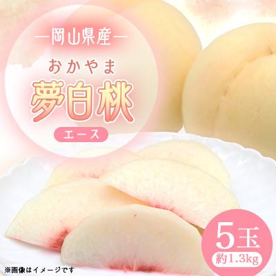 ふるさと納税 早島町 2026年先行予約 岡山県産おかやま夢白桃(エース)1箱5玉入り