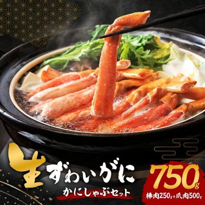 ふるさと納税 岸和田市 [2026年2月14日より順次発送]生ずわい蟹 カニしゃぶセット 750g