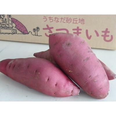 ふるさと納税 内灘町 ねっとりとした食感と濃厚な甘さ さつまいも ポッテリーナ(5kg)の画像