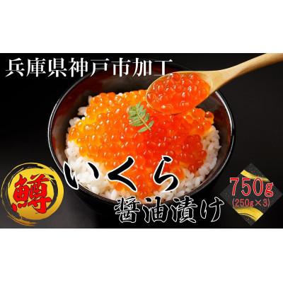 ふるさと納税 神戸市 鱒いくら醤油漬け750g(250g×3)小分けパック | 
